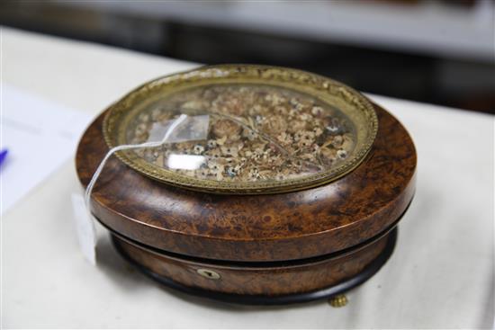 An early 19th century French burr wood musical work box, 7.5in.